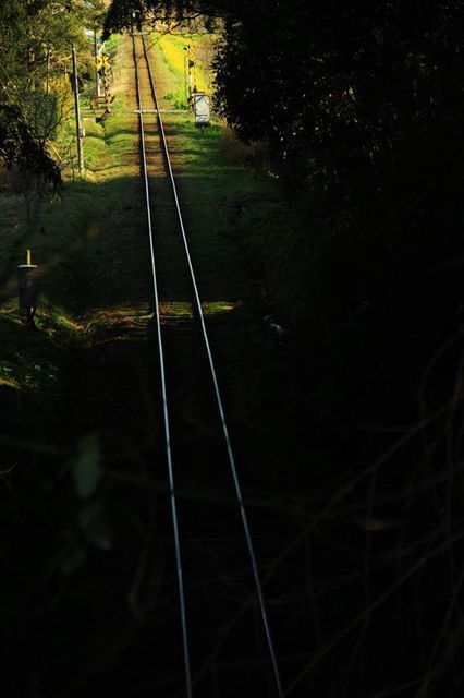 767916_2246825859_153large.jpg