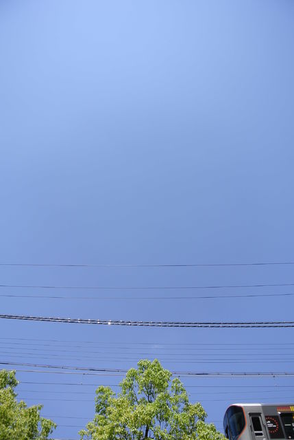 767916_2251302647_209large.jpg