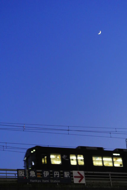 767916_2255232787_142large.jpg