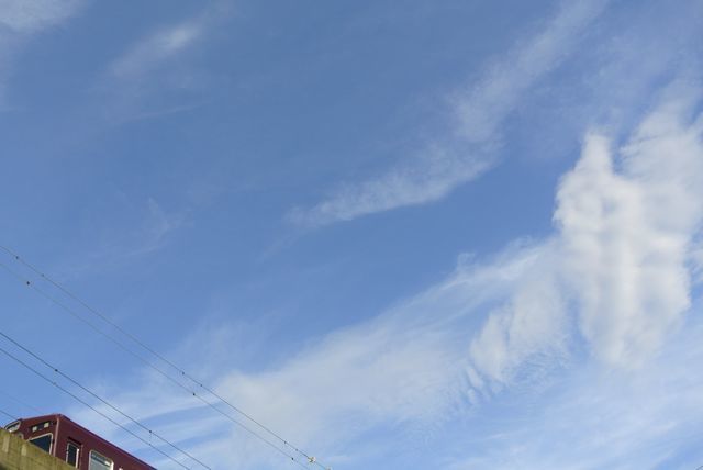 767916_2261223969_144large.jpg