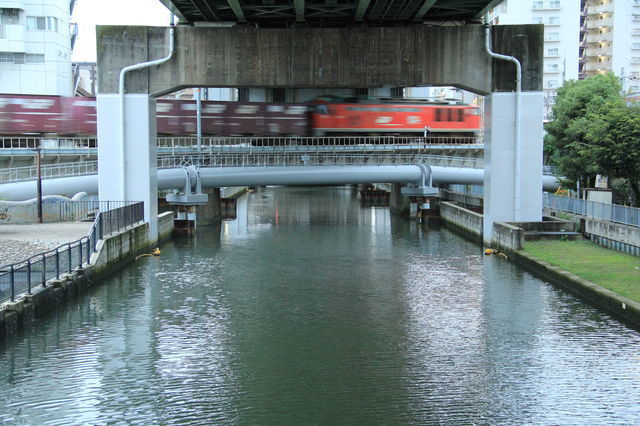 767916_2268706474_13large.jpg