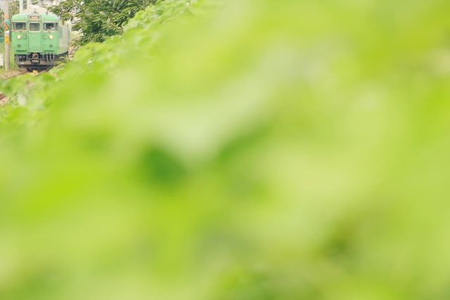 767916_2315567541_154large.jpg