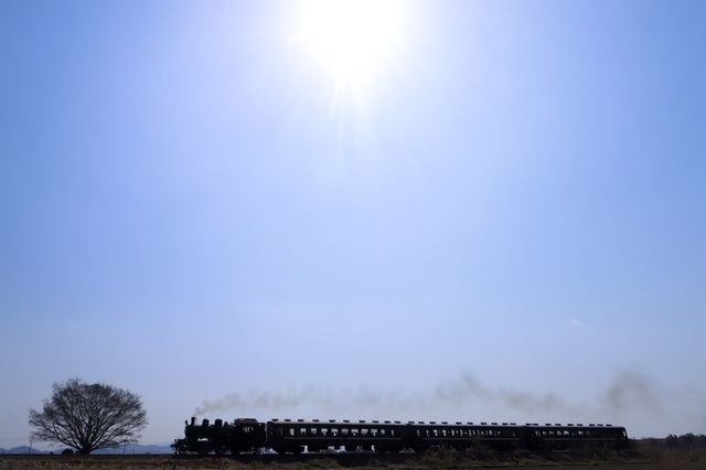 767916_2590676746_203large.jpg