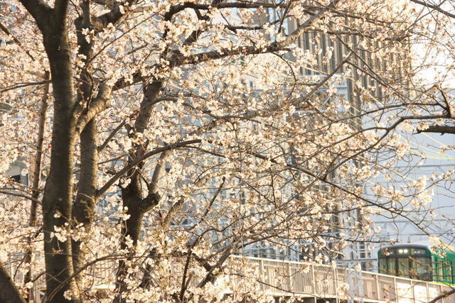 767916_2590837829_107large.jpg