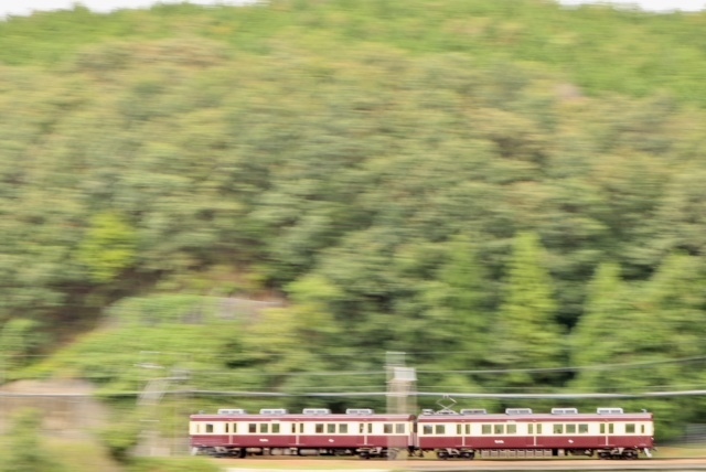 4661908256_IMG_8759.jpg