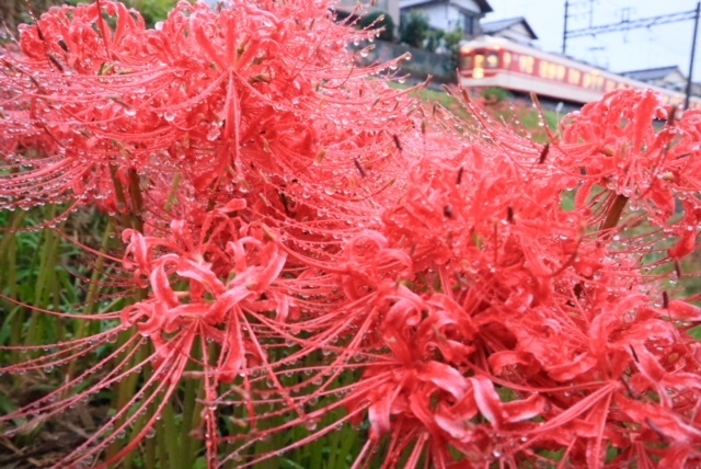 5803144576_IMG_9200.jpg