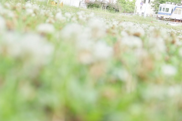 IMG_6975.jpg